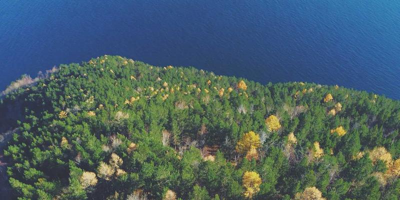 FHC222技术博客：企业IPv6规模部署与平滑迁移实战指南，规避双栈改造陷阱