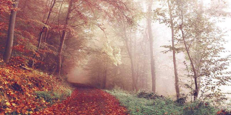 FHC222技术解析：从IT资讯到深度实践的技术博客指南