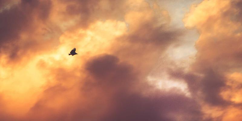 FHC222编程教程：基于意图的网络如何实现从静态配置到动态策略驱动的革命