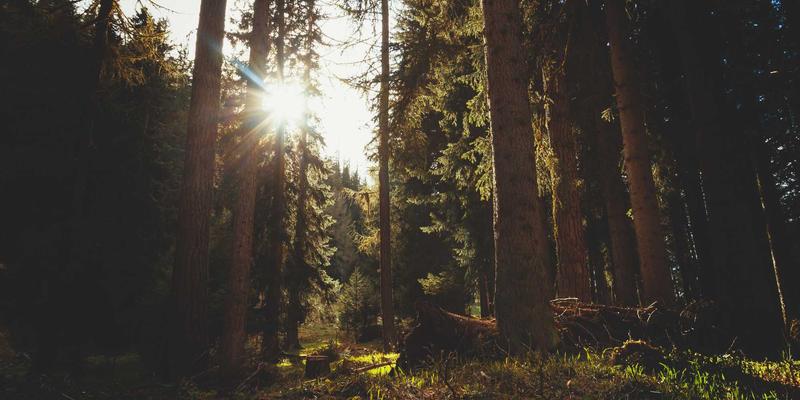 FHC222编程教程：深度解析5G行业专网中网络切片的端到端实现与资源隔离保障