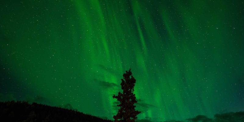 FHC222编程教程：量子加密技术在金融专网传输中的前沿探索与网络技术实践