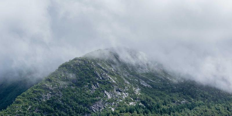 从NFV到CNF：网络功能虚拟化的容器化演进与技术博客深度解析