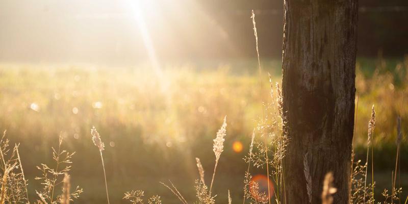 从核心到边缘：5G核心网架构演进深度解析及其对边缘计算的革命性影响