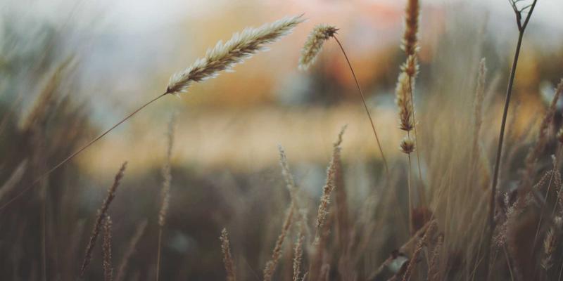 从编程到部署：零信任安全模型在混合云环境中的实施路径与实战指南