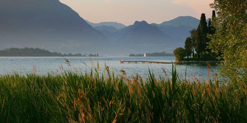 从零到一：基于零信任网络架构的企业内网安全实施编程教程