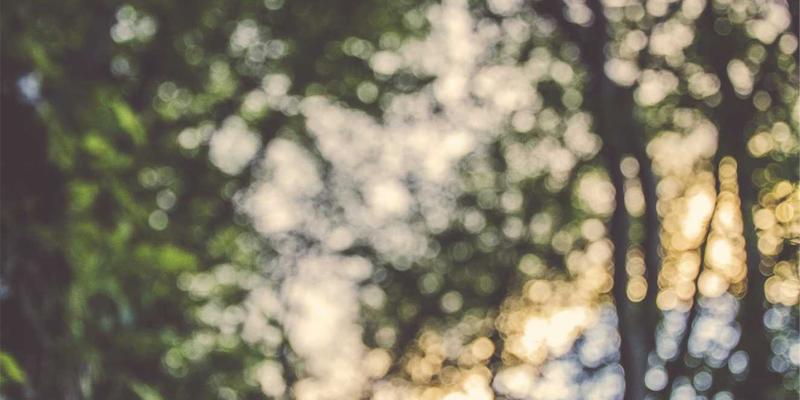 容器网络接口(CNI)深度对比与选型指南：技术博客必备的网络技术解析