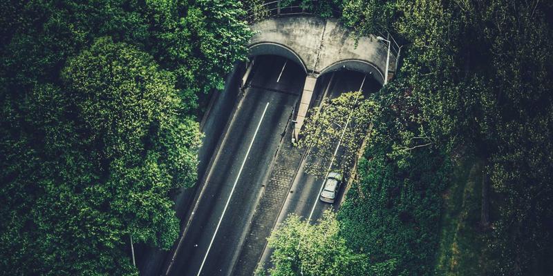 掌握网络技术优势：从技术博客到编程教程的进阶之路