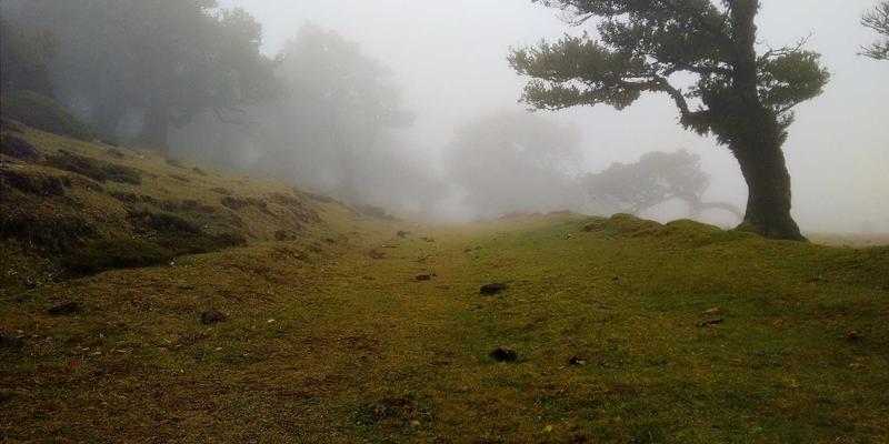 网络技术10：资源分享与IT资讯如何驱动技术革新