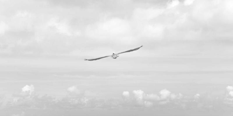 网络技术11：构建技术博客与资源分享生态的实践指南