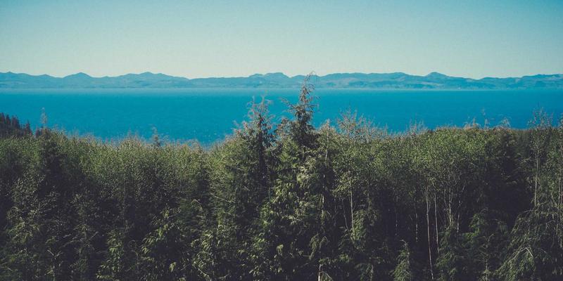 网络技术40与FHC222：解读IT资讯前沿，把握未来网络脉搏