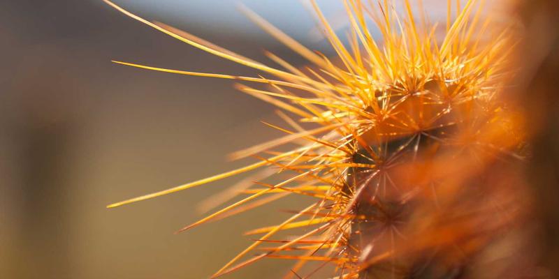 网络技术70：资源分享与FHC222技术博客的深度探索